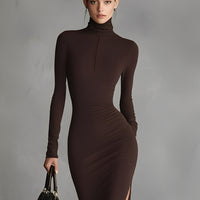 Women's Brown Stretch Fabric Chic Turtleneck Bodycon Slit Dress MDA1311K1I