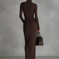 Women's Brown Stretch Fabric Chic Turtleneck Bodycon Slit Dress MDA1311K1I