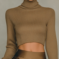 Women's Fashionable Gold-brown Turtleneck Long-sleeved Knit Top MDA2260L4AN